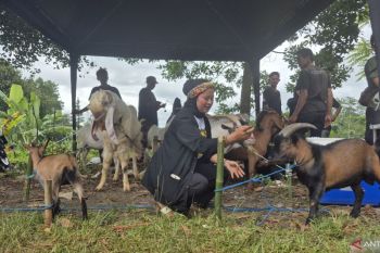 Bandung Barat kerahkan 61 petugas periksa hewan kurban