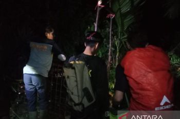 BKSDA Sumbar pasang kandang jebak evakuasi harimau di Agam