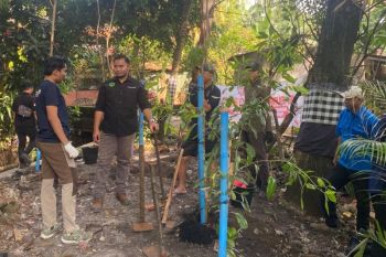 DLHK Depok pangkas seratusan pohon untuk keselamatan warga