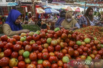 Mengonsumsi tomat bermanfaat untuk kulit menurut ahli