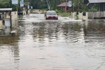 BPBD-Sulteng lakukan pendataan dampak banjir di tiga desa di Morut