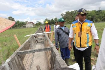 BBWS-Mesuji Sekampung pastikan perbaiki kerusakan irigasi gantung di Rawajitu