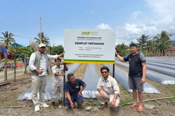 Ini upaya IMIP perkuat kemandirian ekonomi petani lokal