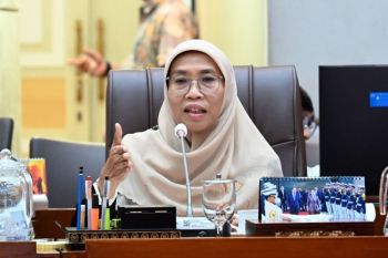 Legislator dorong pembenahan sistem "internship" di Indonesia
