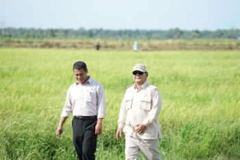 Mentan: Pertanian sumbang 12,67 persen PDB, topang pertumbuhan ekonomi