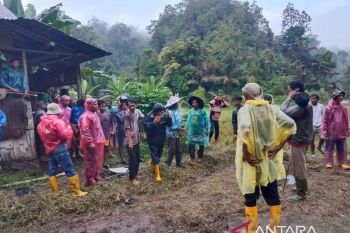 Didatangi harimau, warga Agam berlindung di pondok selama empat jam