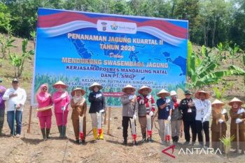 Polres Madina - SMGP kolaborasi dorong swasembada Jagung