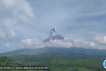 Badan Geologi sebut aktivitas vulkanikGunung Semeru masih tinggi