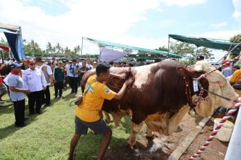 Banyuwangi perkenalkan potensi peternakan lewat kontes dan bursa ternak