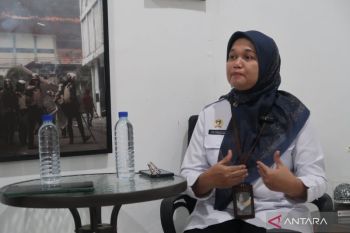 Karantina NTB jamin 30 ribu ekor sapi bebas penyakit