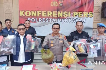 Polresta Denpasar bongkar sindikat oplos LPG dan penimbun BBM