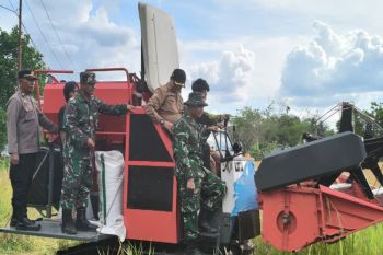 Bupati Bartim pimpin panen padi gunakan Combine Harvester di Kalamus