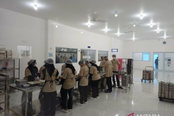Gunung Dempo hembuskan material erupsi kurang lebih 300 meter