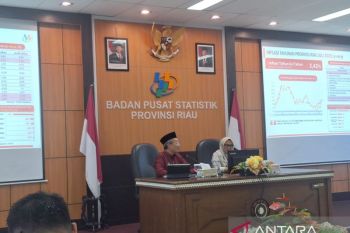 Ini Indeks ketimpangan gender di Riau, tertinggi di Pelalawan