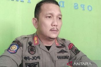 Rokok ilegal di Kabupaten Batang Hari masih ditemukan