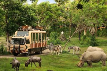 TSI dukung transformasi Kebun Binatang Bandung sebagai Lembaga Konservasi Modern