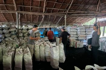 Polda Riau sita 100 ton arang bakau dari hutan mangrove di Meranti