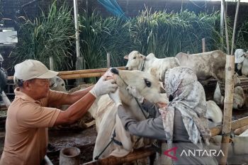 TPID DIY sebut kenaikan permintaan hewan kurban tak pengaruhi inflasi