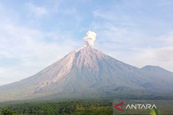 Gunung Semeru tiga kali erupsi dengan tinggi letusan hingga 800 meter