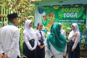 LH Jaksel andalkan enam sekolah ikut verifikasi Adiwiyata