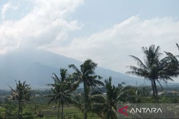 Pemkab Kuningan kembangkan kelapa jadi komoditas unggulan daerah