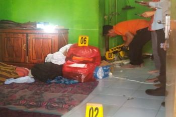Ratusan atlet adu kemampuan dalam kejuaraan Skate Asia 2025