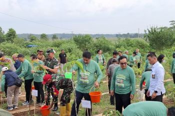 Menteri PKP dorong satu rumah tanam dua pohon dukung penghijauan