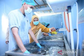 Wagub Gorontalo minta dapur MBG siapkan 30 variasi menu