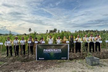 LPP Kelas III Palu perkuat pembinaan berbasis ketahanan pangan bagi warga binaan