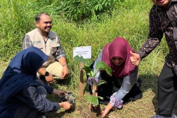 Mahasiswa dan Pelajar revegetasi bantaran Sungai Matangkuli