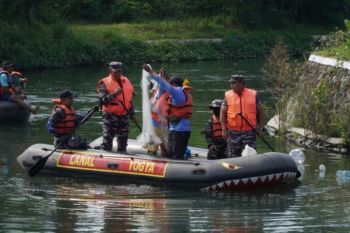 DKP DIY gerebek ikan sapu sapu selamatkan ekosistem ikan perairan umum