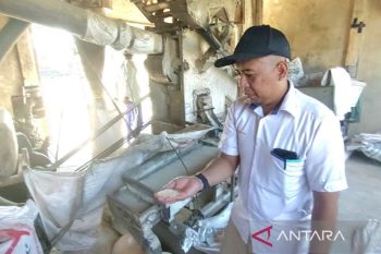 Bulog Kotim optimalkan serapan gabah sebelum kemarau panjang