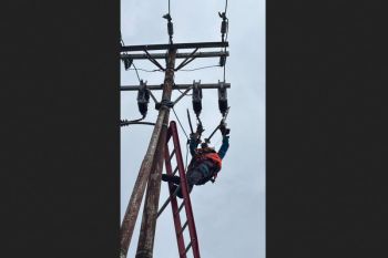 PLN perkuat keandalan listrik Ketapang melalui pemeliharaan terpadu