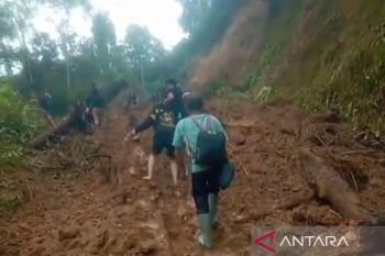Bencana: Satu desa di  Jambi terisolasi akibat jalan tertimbun longsor