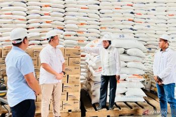 Anggota DPD RI pastikan stok beras di Bulog Belitung cukup