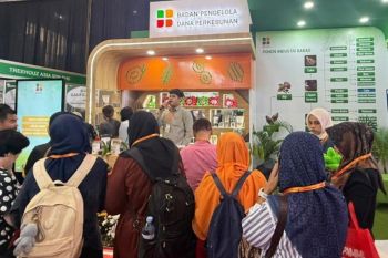 Produk UMKM sawit dipromosikan agar diterima pasar internasional