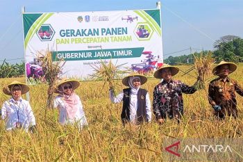 Pemprov Jatim minta daerah percepat tanam padi antisipasi El Nino