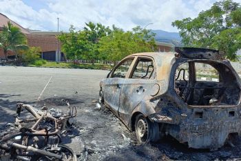 Lanud Silas Papare Jayapura tanam singkong mendukung ketahanan pangan