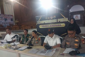 Polres Jembrana tangkap dua pemalsu dokumen pengiriman sapi