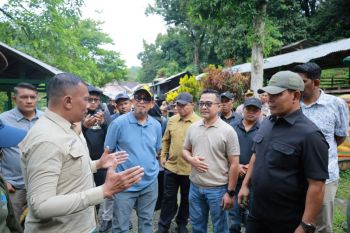 Pemkab Aceh Besar dukung pembangunan SPAM Regional di Leupung