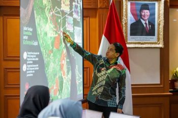 Indonesia focuses on protecting decreasing elephant habitats