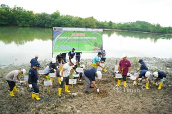 PT Timah - Pemkab Bangka ubah bekas tambang jadi kawasan produktif