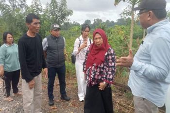 Wagub Sulteng tinjau KPN pastikan pembangunan kembali fasilitas pangan