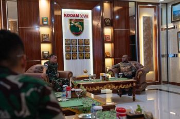 Lapan: 90 persen wilayah Papua telah terekam