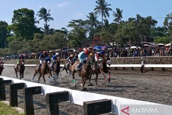 147 ekor kuda dari 12 daerah ikuti IHR 2026 di Semarang