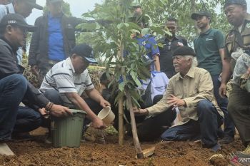 KLH gandeng buruh hijaukan hulu Bandung dengan tanam 12.000 pohon