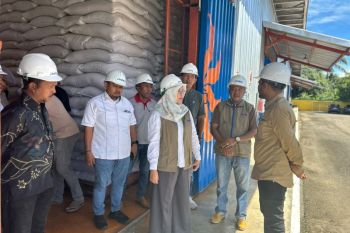 Ditinjau anggota DPR RI, Bulog pastikan stok pangan hingga akhir tahun di Abdya,