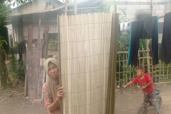 Krey sawit dan kisah warga Lebak memutus rantai kemiskinan
