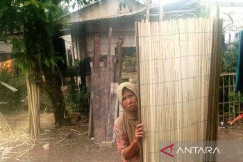 Krey sawit dan kisah warga Lebak memutus rantai kemiskinan