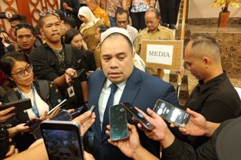Danantara ungkap lebih dari 100 investor minati proyek PSEL tahap II